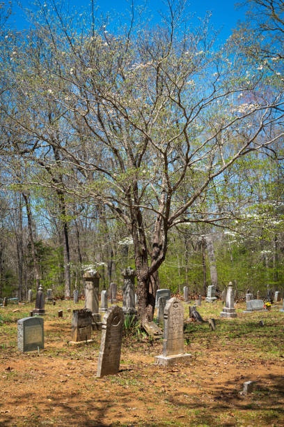 istock Mammoth Cave Baptist Church and Cemetery 2202439810