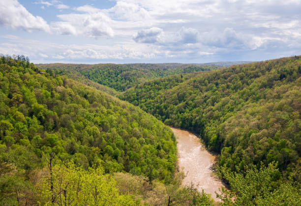 istock River Overlook at Big South Fork National River and Recreation Area 2202440334