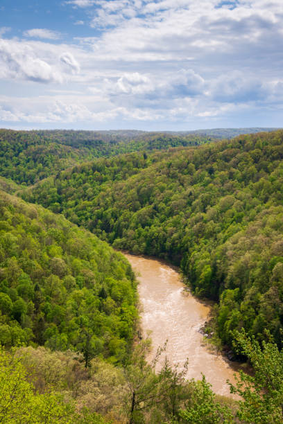 istock River Overlook at Big South Fork National River and Recreation Area 2202440473