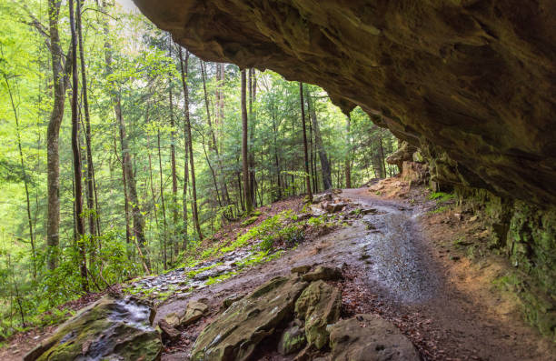 istock Big South Fork National River and Recreation Area 2202440975