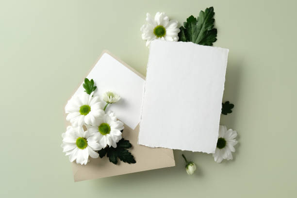 istock White card and envelope with daisies on a light green background. Perfect for invitations, greetings, and events 2202442441