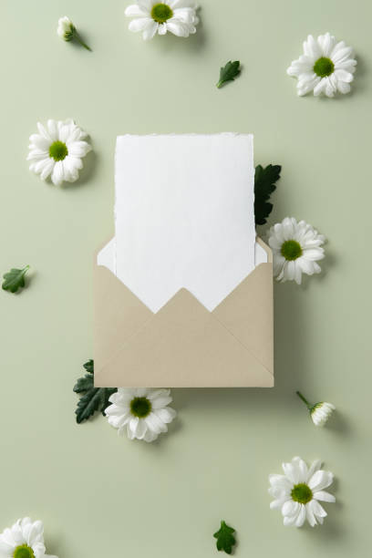 istock Beige envelope and blank white card with daisies on a light green background. 2202442445