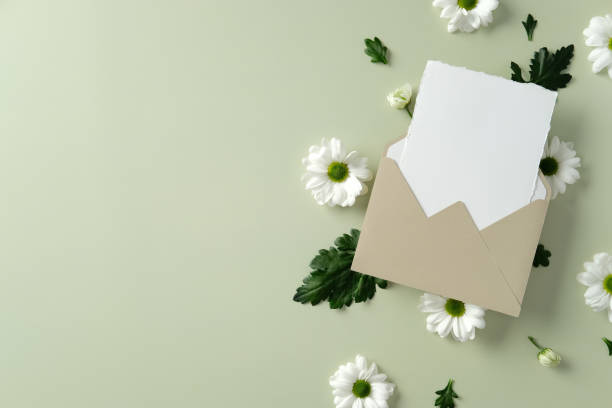 istock Beige envelope and blank white card with white daisies on a light green background 2202442471