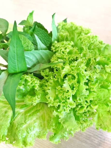 istock healthy food, fresh vegetable plants. 2202443576