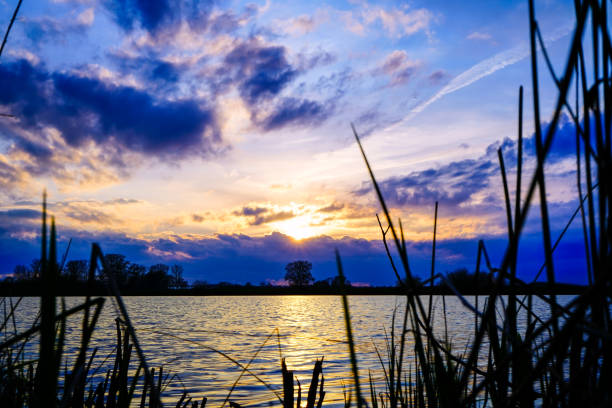 Beautiful sunset at a small lake / polder in the district of Oldenburg near the Hunte.