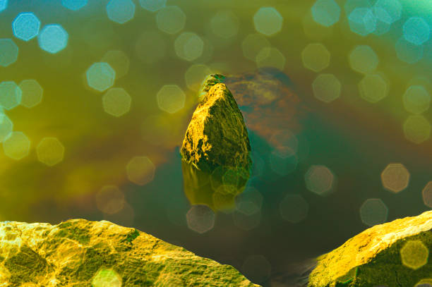 A green frog is sitting on a rock in a pond. It is seen from the front.