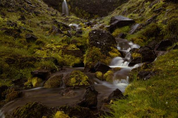 A scenic creek flowing through a moss-covered rocky terrain with small cascading waterfalls.