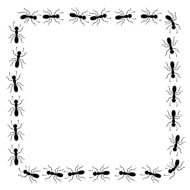 Red Rant Border Free ant border frame Vector Images & Graphics | FreeImages