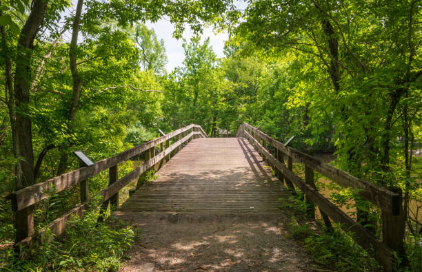 istock Boardwalk at Lake Fausse Pointe State Park 2202452979