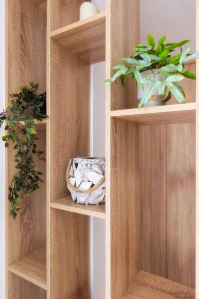 istock Indoor green plants on the shelf. Home interior 2202453302