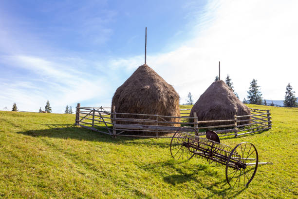 A picturesque countryside scene showcasing two traditional haystacks surrounded by wooden fencing, with an old agricultural implement in the grassy field under a clear sky.