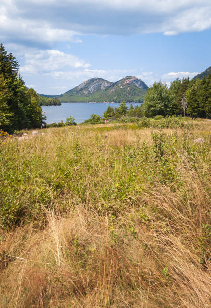 istock Meadow and Lake, Acadia National Park 2202454949