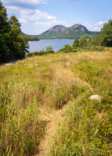 istock Meadow and Lake, Acadia National Park 2202454980