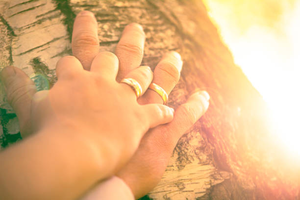 Close-up of a couple's hands with golden wedding rings, illuminated by warm sunlight