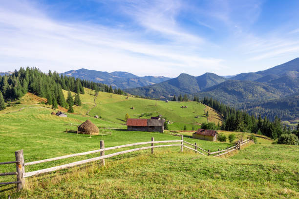 istock Breathtaking Landscape: Rolling Hills and Pine Forests Under Blue Sky in Tranquil Mountainous Region 2202455310