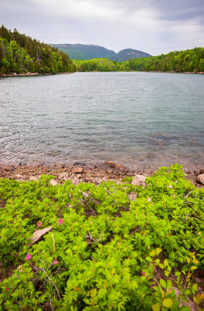 istock Echo Lake at Acadia National Park 2202455566