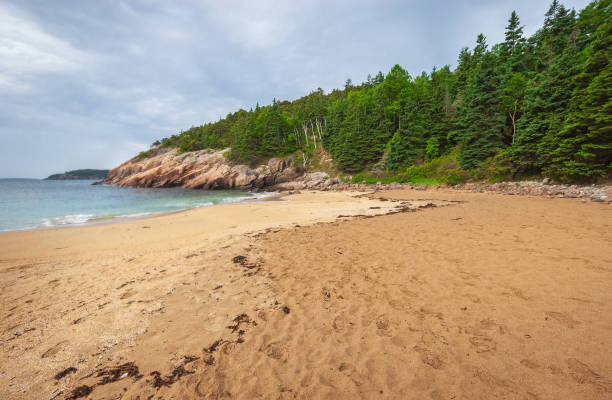 istock Sandy Beach at Acadia National Park 2202456503