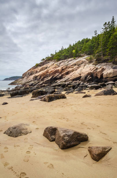 istock Sandy Beach at Acadia National Park 2202456864