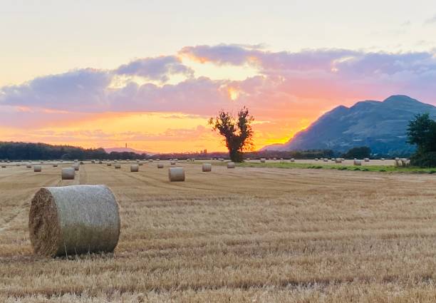 istock Sunset on Dumyat in Stirling 2202457220