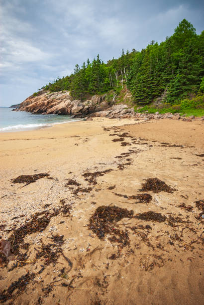 istock Sandy Beach at Acadia National Park 2202457378