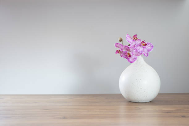 istock purple orchid in modern ceramic vase on white  background 2202457388