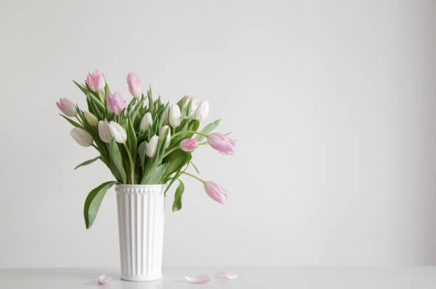 istock white and pink   tulips in white vase on background wall 2202457392