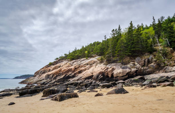 istock Sandy Beach at Acadia National Park 2202457461