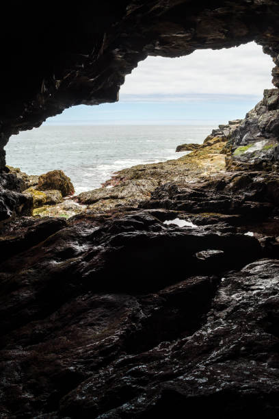 istock Anemone Cave at Acadia National Park 2202458609
