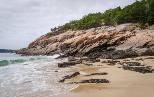 istock Sandy Beach at Acadia National Park 2202459279