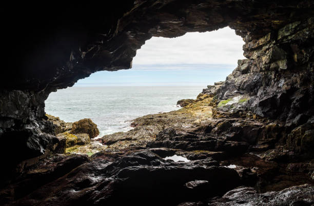 istock Anemone Cave at Acadia National Park 2202459927