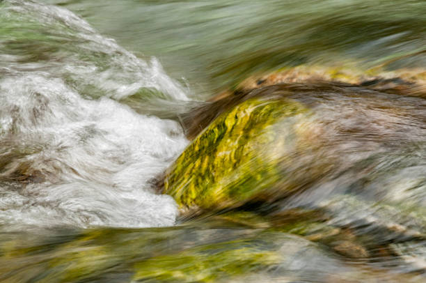 Close Up Of Waterfall In forest