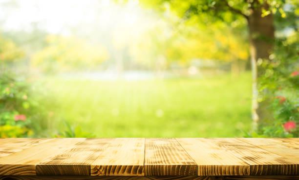 istock wooden table set against a bright, blurred garden background with lush greenery and sunlight filtering through the trees. product displays in an outdoor setting.not ai generated 2202463017