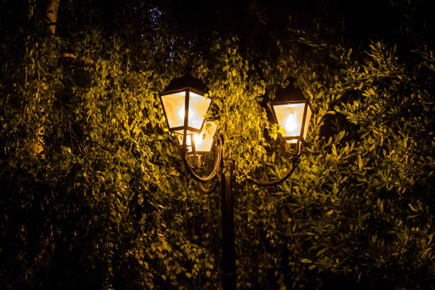 Old street lantern in green foliage at night