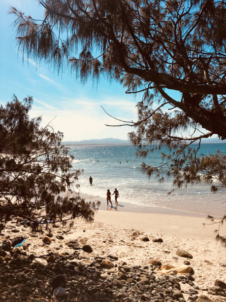 Surfing and swimming at Wategos Beach, Byron Bay, Australia