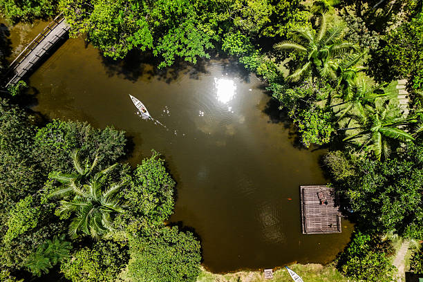 Top-down aerial view of a person paddling a canoe on a calm river, surrounded by dense green trees and palm trees, with a small dock and a bridge visible near the water’s edge.