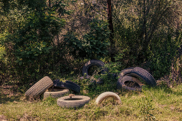 istock Some old tires discarded at the edge of a forest 2202471434