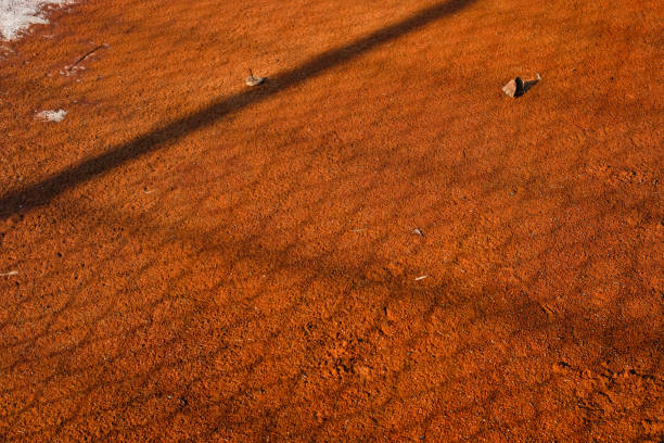 Tennis sportswoman is playing tennis on an outdoor stadium with sand surface. She is wearing unbranded sports cloth and using unbranded sport equipment.