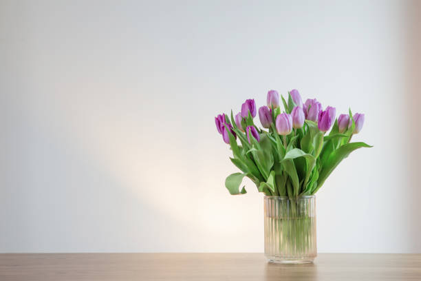 pink tulips in glass vase on white background stock photo