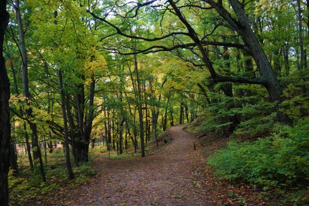 istock Saugatuck Dunes State Park Michigan.  Great Sand Dunes and Forest. 2202475195