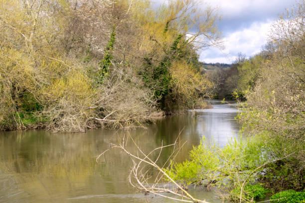 istock View of a river in Devon, England in April, Crediton, Europe. 2202476740