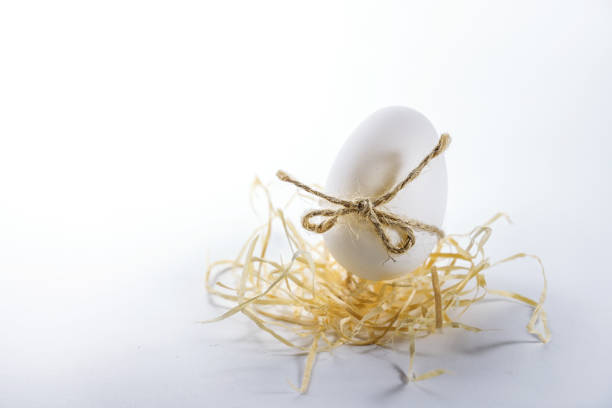 Easter eggs and chickens on green grass