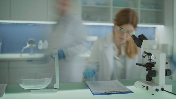 istock A laboratory worker looks through a microscope and records the tests in a questionnaire. 2202478327