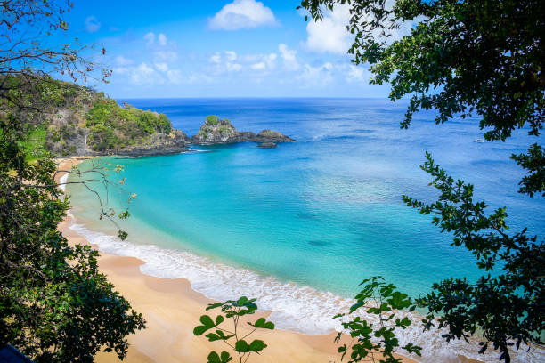 istock Sancho beach - Fernando de Noronha 2202479142