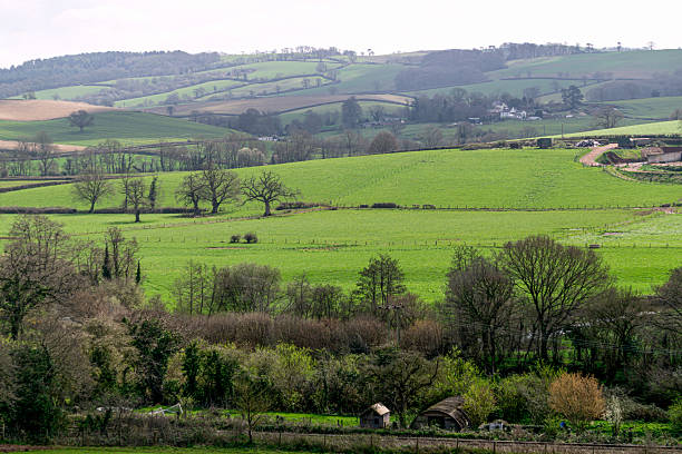 istock Landscape of evergreen fields and meadows in England, Devon, Crediton, Europe. 2202479183