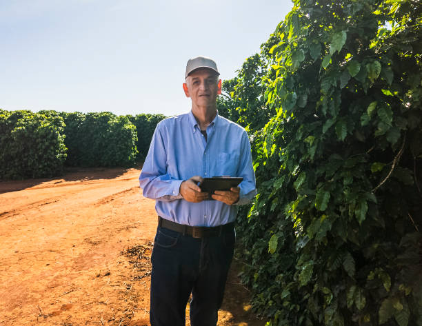 istock Agricultural Expert Inspecting Coffee Plantation 2202479194