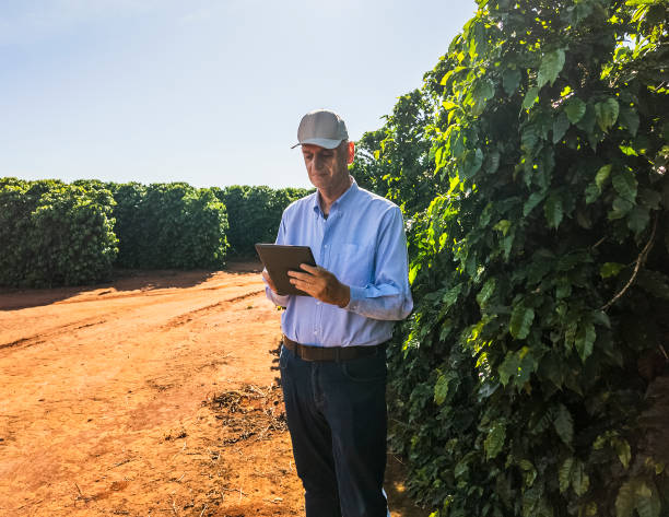 istock Agricultural Expert Inspecting Coffee Plantation 2202479464