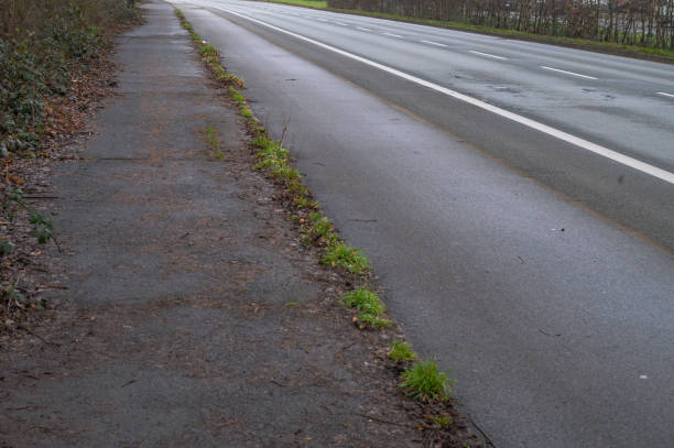 Empty asphalt road with grass growing on the sidewalk
