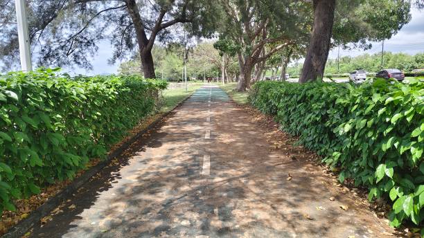 istock Scenic pedestrian and cycling path surrounded by lush greenery in urban park setting 2202494595