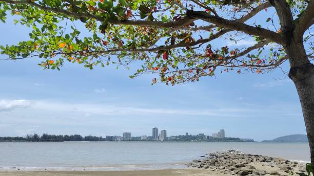 istock Scenic beach view with city skyline framed by tree branches under blue sky 2202494861