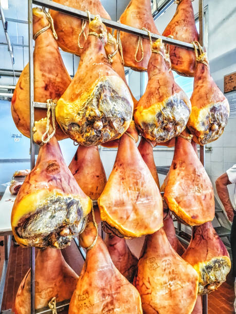 Thighs of ham during the curing process hanging in a cellar.
